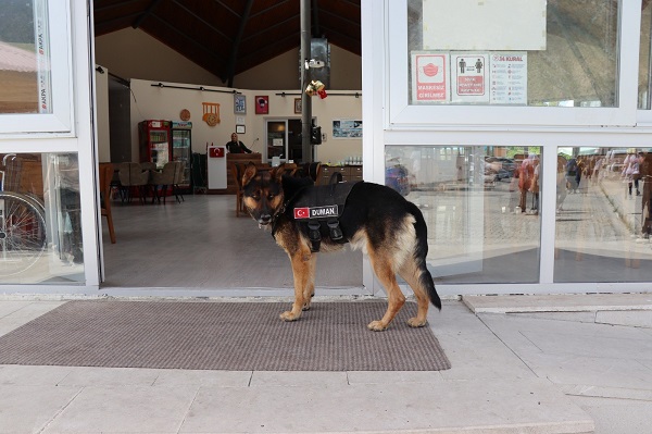 Foto - Tortum Şelalesi'nin güvenliği ondan soruluyor
