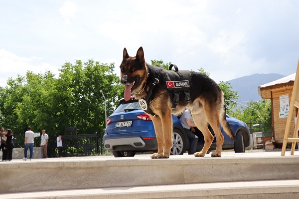 Foto - Tortum Şelalesi'nin güvenliği ondan soruluyor
