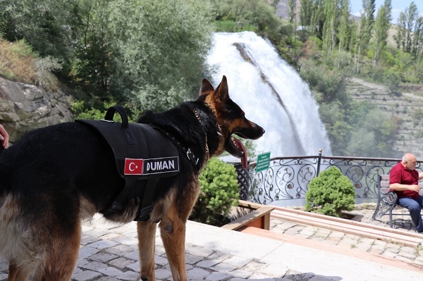 Tortum Şelalesi'nin güvenliği ondan soruluyor