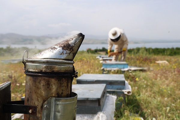 Foto - Toz taşınımı arıları böyle strese soktu! 
