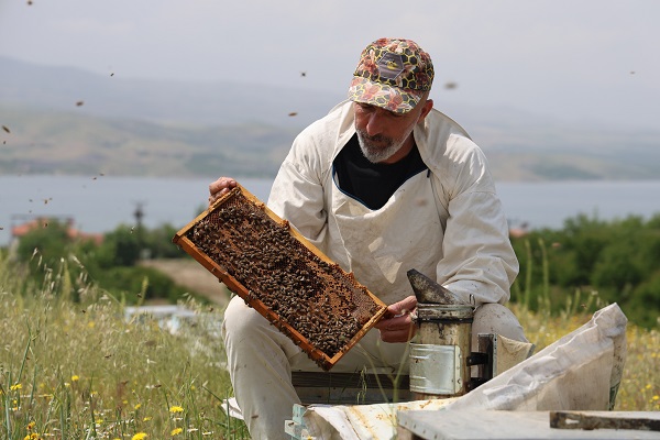 Foto - Toz taşınımı arıları böyle strese soktu! 