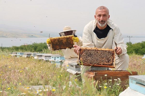 Foto - Toz taşınımı arıları böyle strese soktu! 