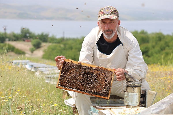 Foto - Toz taşınımı arıları böyle strese soktu! 