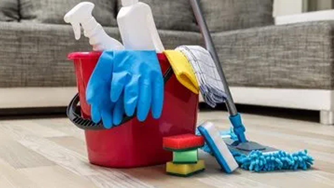 Foto - Tozu üzerine çeken doğal bitkiler, evinizde varsa şanslısınız! Adeta mıknatıs gibi çekiyor