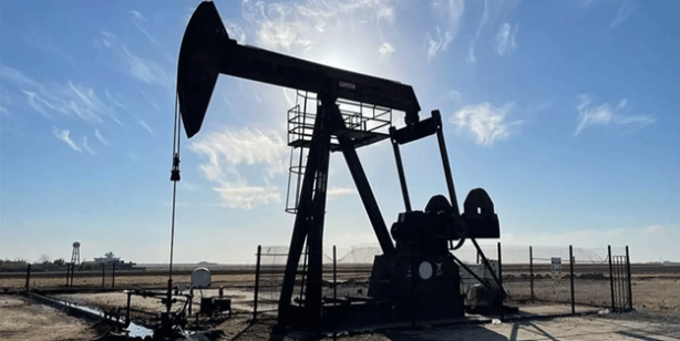 TPAO'dan 4 ilde petrol hamlesi!