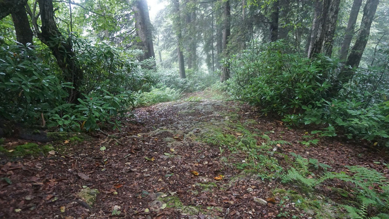 Foto - Trabzon Fethi’nin gizemli rotası haritalandırıldı! Fatih’in 564 yıllık sırrı çözüldü