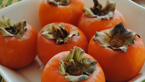 Foto - Trabzon hurmasının vücuda şaşırtan etkisi