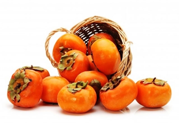 Foto - Trabzon hurmasının vücuda şaşırtan etkisi