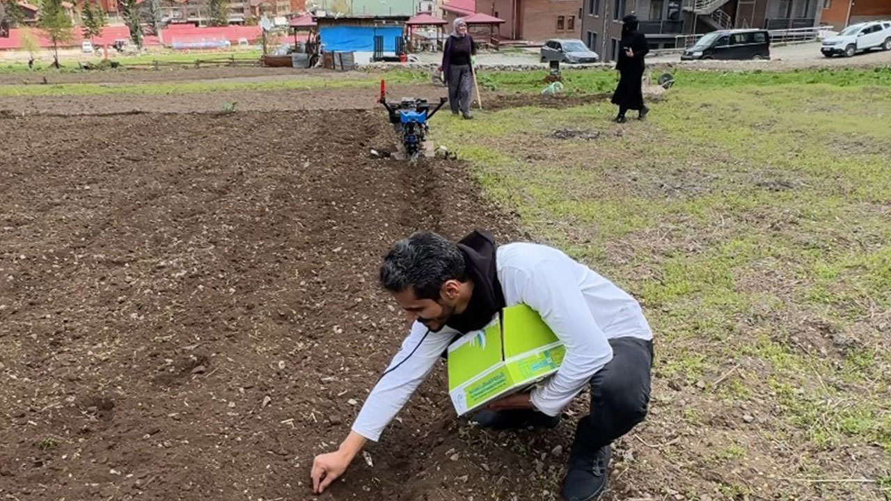Foto - Trabzon'a gelen Araplardan olay hareket! Şehre gelip vatandaşlara dağıtmaya başladılar