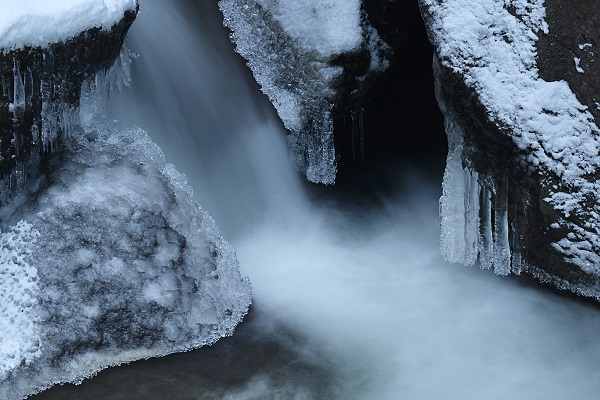 Foto - Trabzon'da görsel şölen