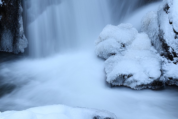 Foto - Trabzon'da görsel şölen