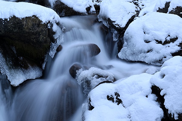 Foto - Trabzon'da görsel şölen