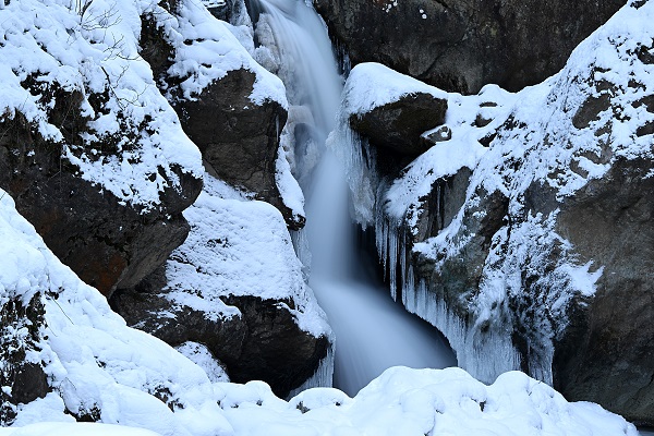 Foto - Trabzon'da görsel şölen