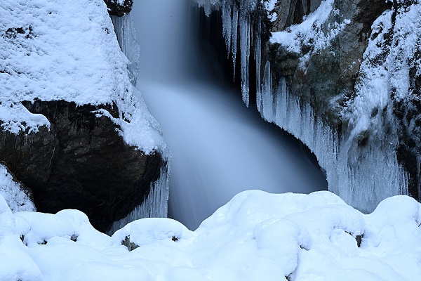 Foto - Trabzon'da görsel şölen