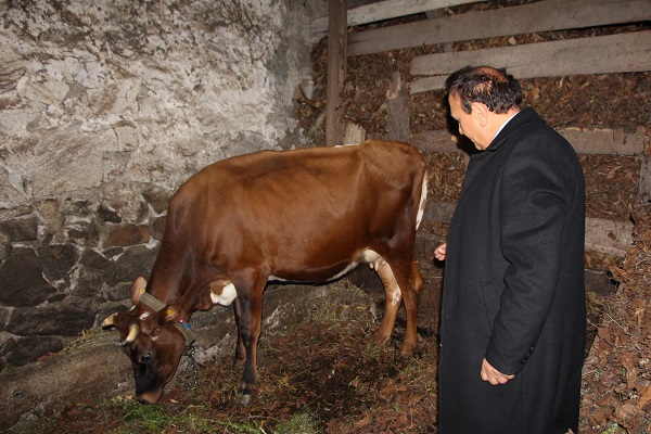 Foto - Trabzon'da ilginç seçim kampanyası! Bağımsız aday 1 oy için bakın ne yapıyor