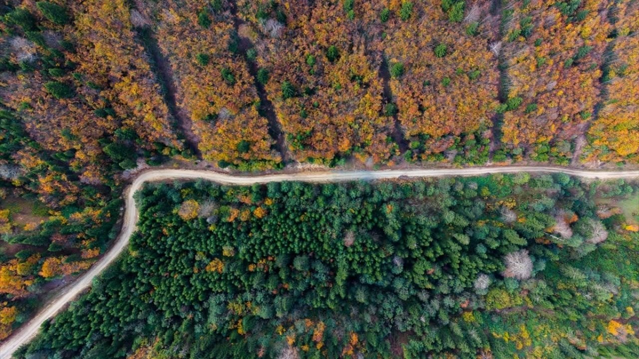 Foto - Trabzon'da sonbahar! Yüksek kesimler farklı renklere büründü
