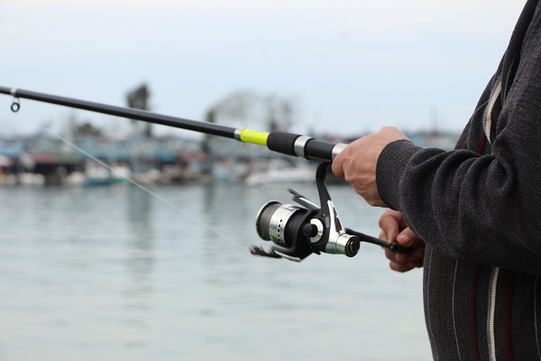 Foto - Trabzon'dan kaçan somonlar Rizelilerin yüzünü güldürdü