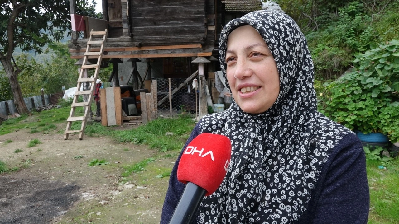 Foto - Trabzonlu vatandaşlar pencerelerini açamıyor: Soğuk hava geldi istila başladı