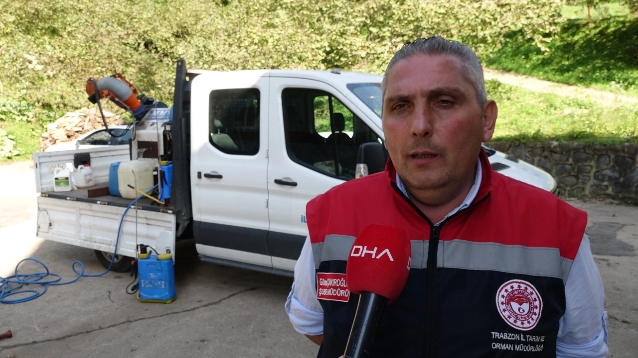 Foto - Trabzonlu vatandaşlar pencerelerini açamıyor: Soğuk hava geldi istila başladı