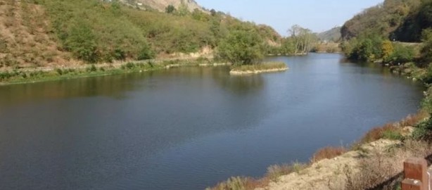 Foto - Korkunç görüntü: Göl simsiyah oldu