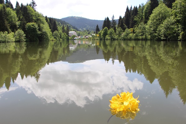 Trabzon’un saklı güzelliği: Balıklı Göl