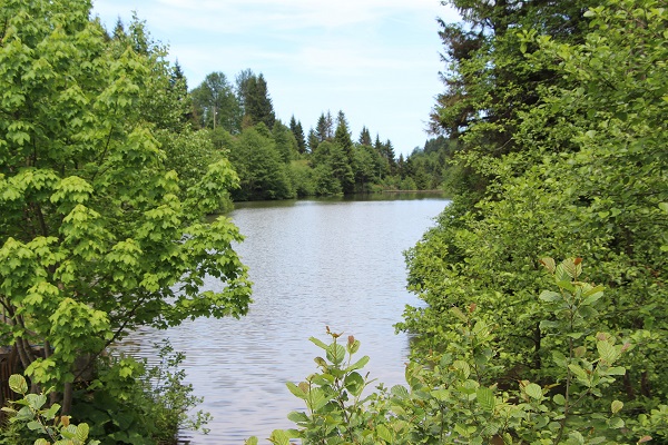 Foto - Trabzon’un saklı güzelliği: Balıklı Göl