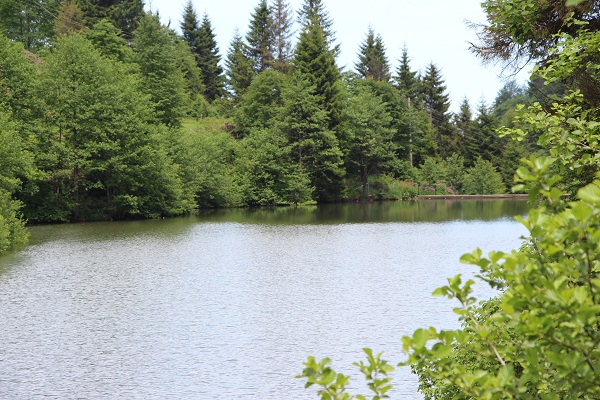 Foto - Trabzon’un saklı güzelliği: Balıklı Göl