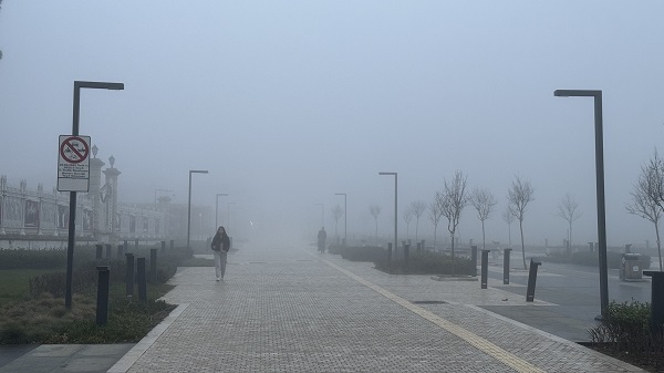 Foto - Trakya’da göz gözü görmüyor
