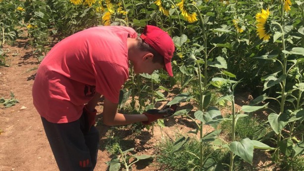 Foto - Trakya'yı istila ettiler! "Bu bizim için geriye dönülmez son gibi"