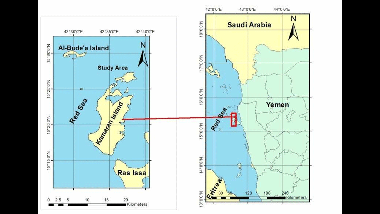 Foto - Trump emri verdi ABD saldırıya geçti! Havadan saldırı düzenlendi