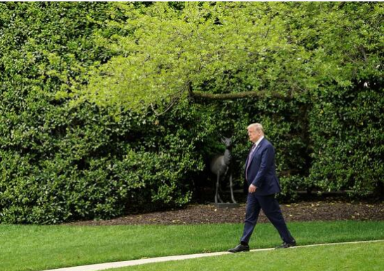 Foto - Trump koronavirüs test sonucunu açıklayıp apar topar Arizona'ya gitti