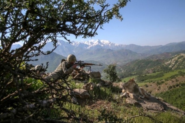 Foto - Şahin Gözü PKK'ya geçit vermiyor!