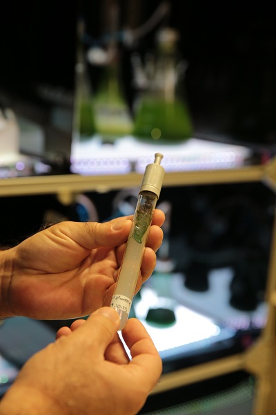 Foto - TÜBİTAK desteğiyle geliştirildi! Bakın bu güneş kreminin içinde ne var