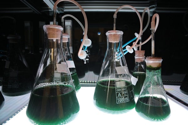 Foto - TÜBİTAK desteğiyle geliştirildi! Bakın bu güneş kreminin içinde ne var