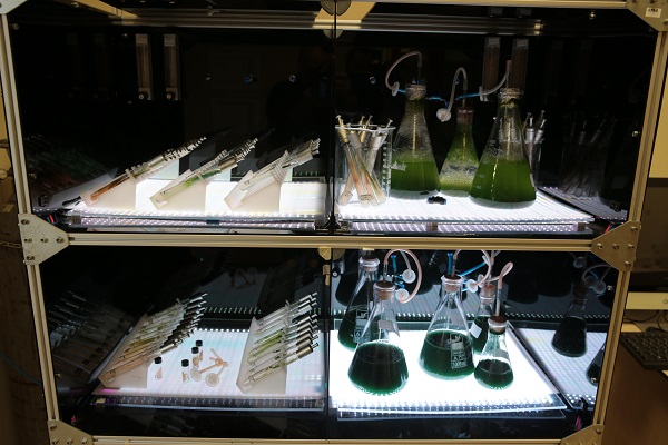 Foto - TÜBİTAK desteğiyle geliştirildi! Bakın bu güneş kreminin içinde ne var