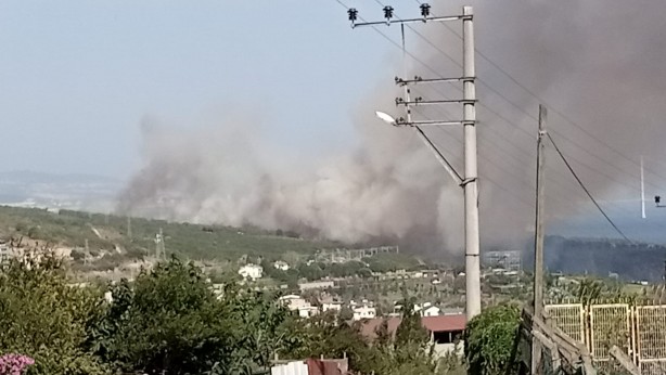 Foto - TÜBİTAK'ın ormanlık alanında yangın