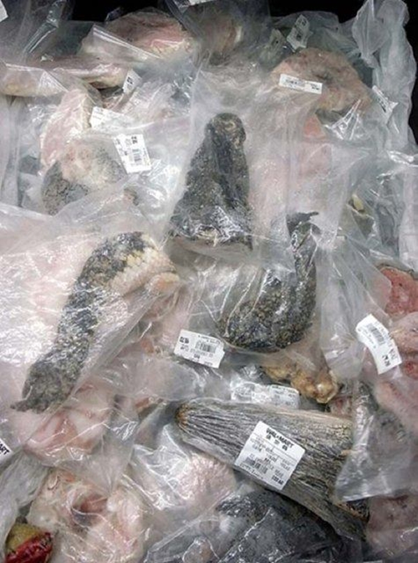 Foto - Tuhaf olaylar ülkesi Çin'den kareler