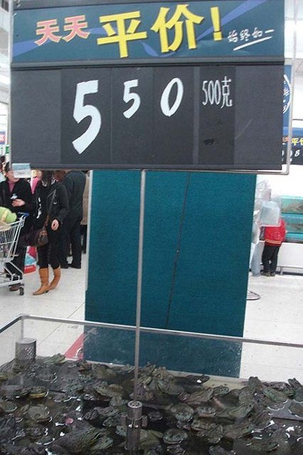 Foto - Tuhaf olaylar ülkesi Çin'den kareler