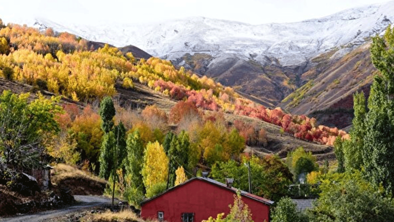 Foto - TÜİK rakamları paylaştı: İşte Türkiye'nin en genç ve yaşlı illeri!