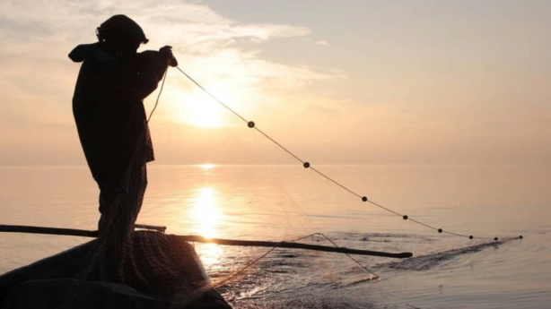 TÜİK'ten korkutan veriler! 'Böyle giderse balık kalmayacak'