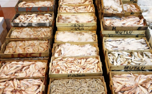 Foto - TÜİK'ten korkutan veriler! 'Böyle giderse balık kalmayacak'