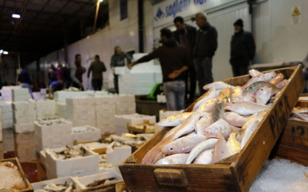 Foto - TÜİK'ten korkutan veriler! 'Böyle giderse balık kalmayacak'