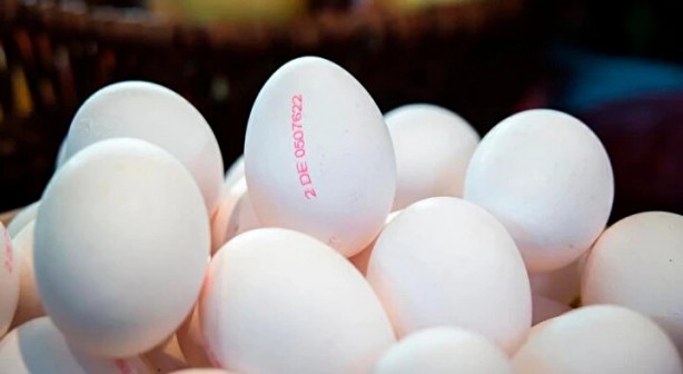 Foto - Tüketiciler dikkat! Yumurtadaki numaralar ne manaya geliyor?