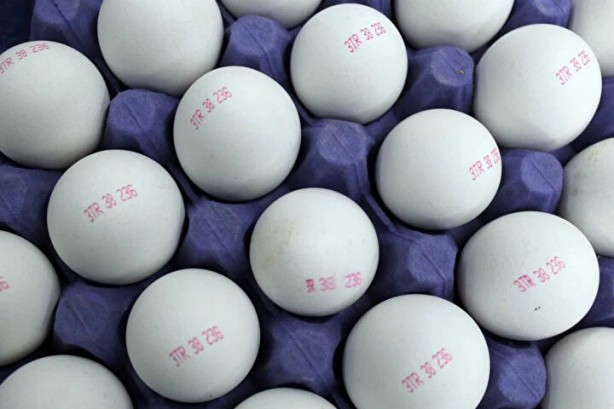 Foto - Tüketiciler dikkat! Yumurtadaki numaralar ne manaya geliyor?