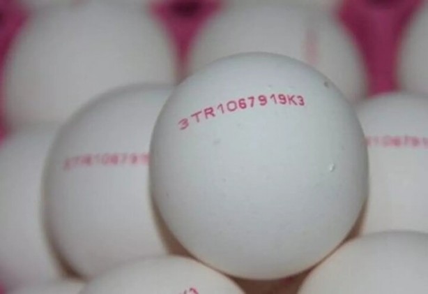Foto - Tüketiciler dikkat! Yumurtadaki numaralar ne manaya geliyor?