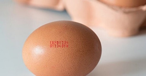 Foto - Tüketiciler dikkat! Yumurtadaki numaralar ne manaya geliyor?