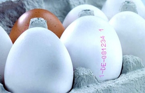 Foto - Tüketiciler dikkat! Yumurtadaki numaralar ne manaya geliyor?
