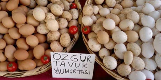 Foto - Tüketiciler dikkat! Yumurtadaki numaralar ne manaya geliyor?