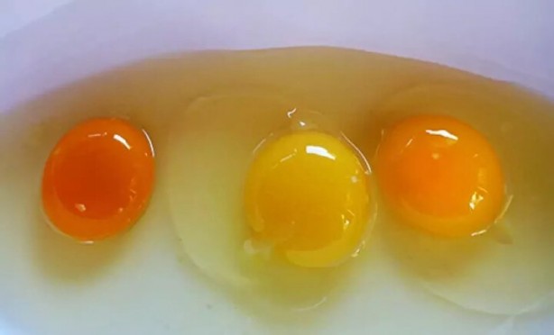 Foto - Tüketiciler dikkat! Yumurtadaki numaralar ne manaya geliyor?