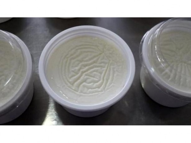 Foto - Tüketicileri yakından ilgilendiren gelişme! O süt ve yoğurt ürünlerine yasak geldi